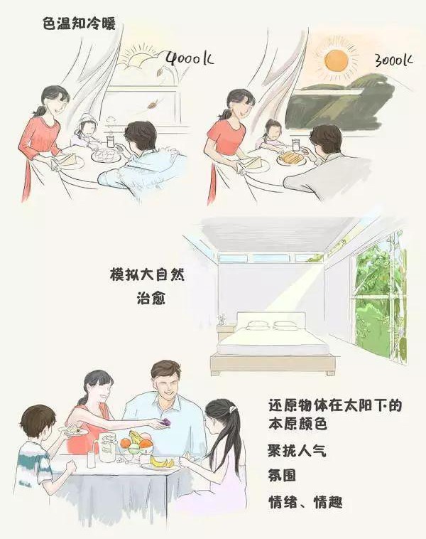 家里的筒燈、射燈、軌道燈，怎樣布局才合理？